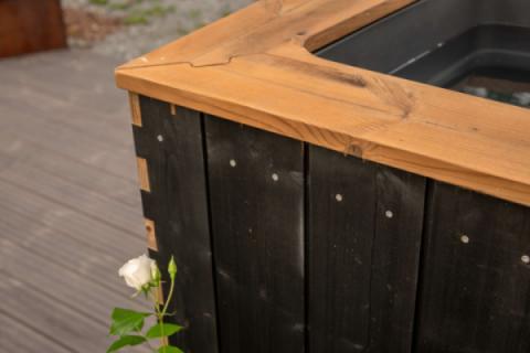 kirami nordic ice top side