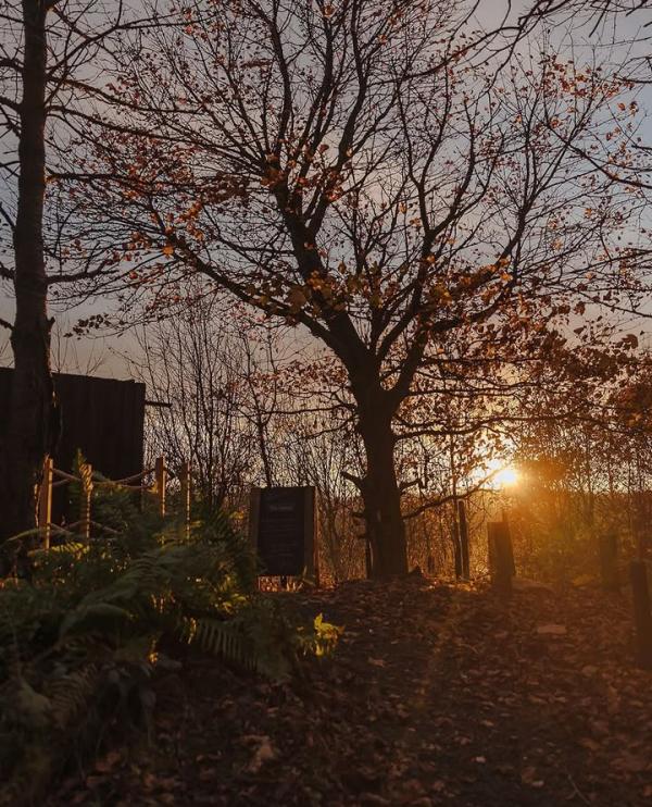 ❄️☀️Who’s loving these frosty, bright, super chilly mornings?❄️☀️⁠
Here at Kirami, the crisp winter air only enhances the benefits of the steam boosting circulation, sharpening the senses and making every sauna and hot tub session feel truly invigorating 🔥🧖‍♀️⁠
⁠
#WinterWellness #SaunaLife #ColdMornings #SteamTherapy #KiramiSauna #NordicTradition #WellbeingRitual #KiramiUK