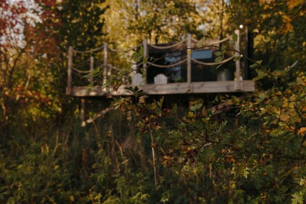 There's a comforting sense of calm that comes with the arrival of brighter mornings and extended evenings🌿✨⁠⁠Nestled amid the trees, this enchanting Misty sauna feels like a perfect retreat an ideal spot to pause, take a deep breath and savour the gentle shift of the seasons.⁠⁠With spring finally approaching, we can look forward to an uplifting surge of light and positivity. Who else is feeling these gentle yet uplifting transformations? 🌱☀️⁠⁠#SpringIsOnTheWay #ExtendedDays #SaunaExperience #NatureHideaway #MindfulLiving #SeasonalJoy #AmongTheTrees